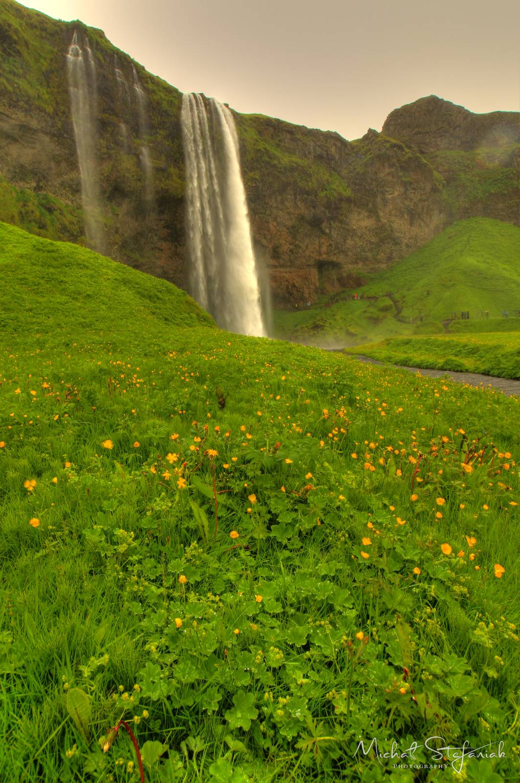 378 IMG 3702 3 4Enhancer